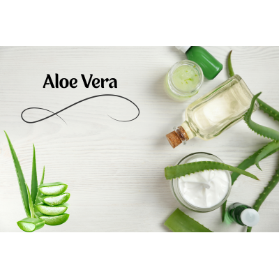 Aloe Vera in der Kosmetik