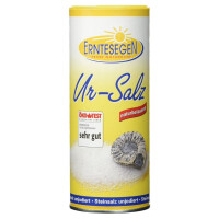 Erntesegen Ur-Salz naturbelassen Streudose 40